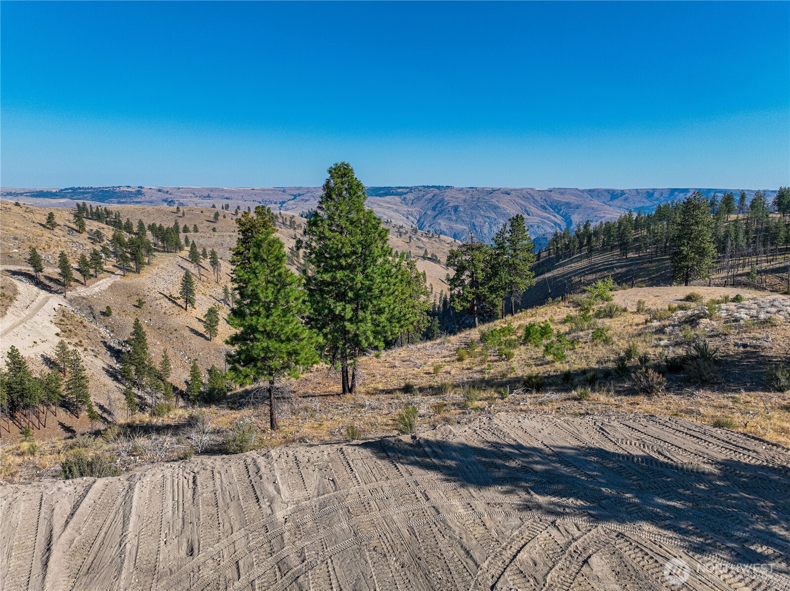 0 Evergreen Camp Road Chelan, WA 98816 - Photo 5 of 21 a view of a backyard of a house