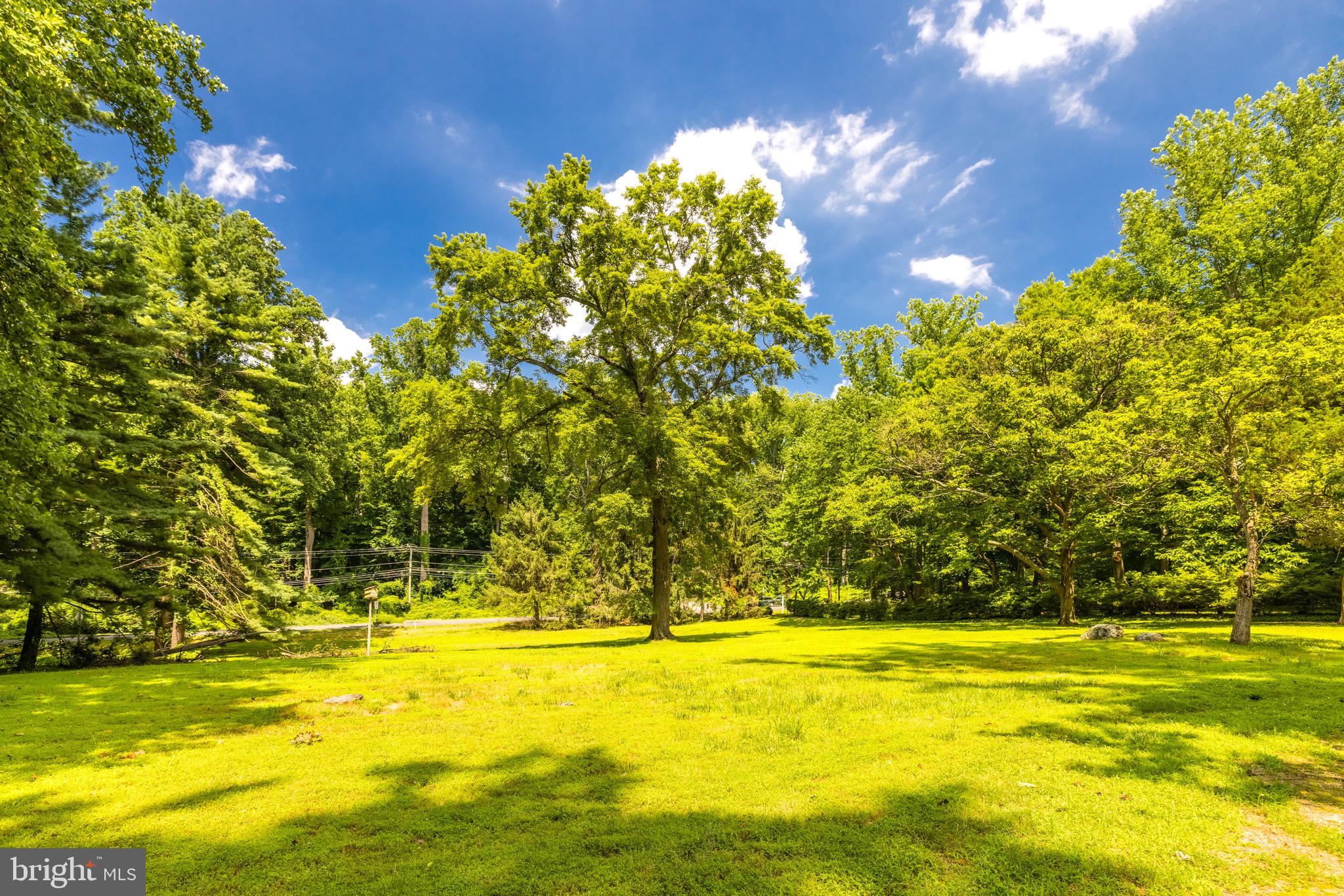 7327 Georgetown Pike McLean, VA 22102 - Photo 9 of 11