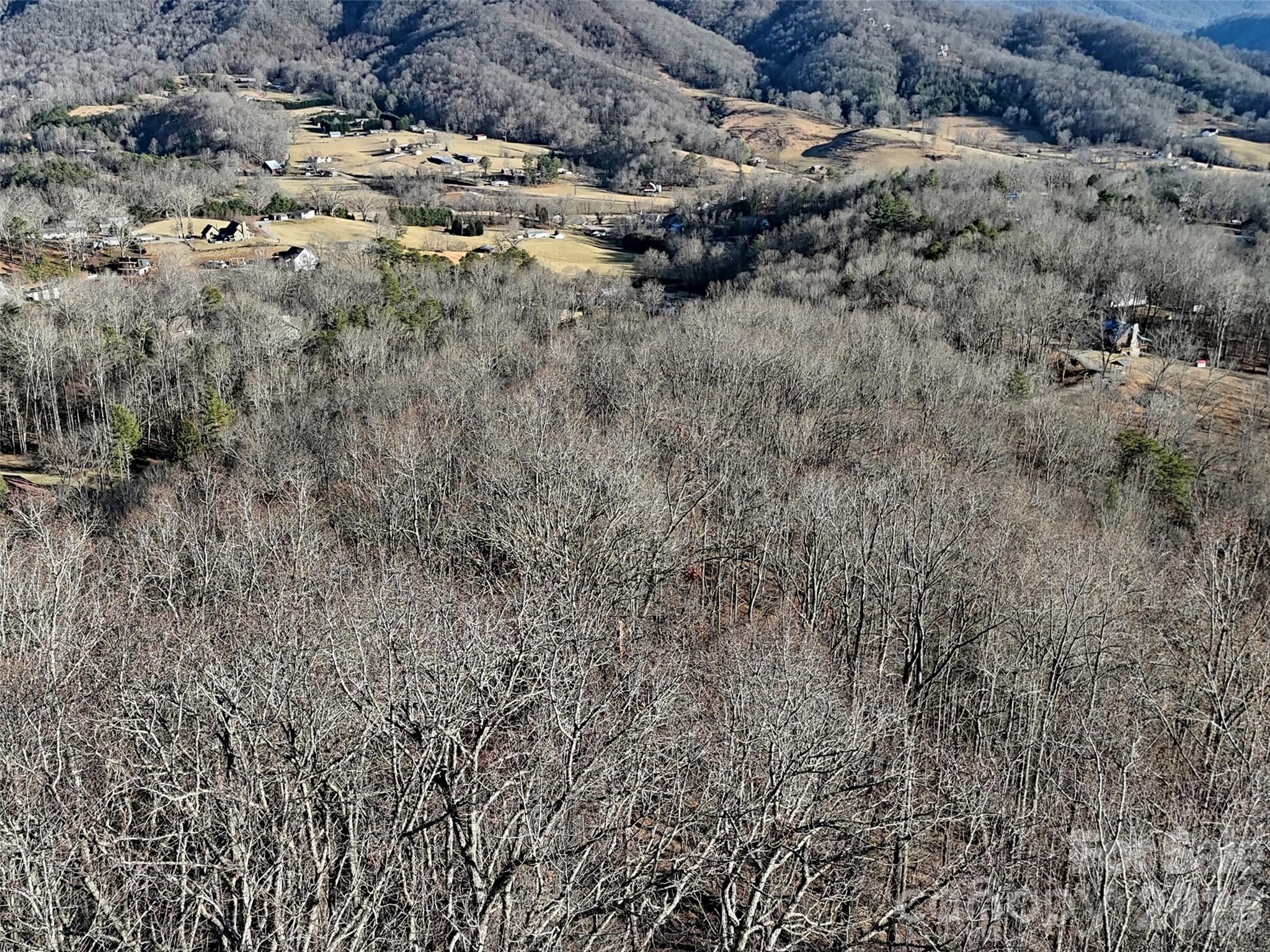 672 Porters Ridge Canton, NC 28716 - Photo 16 of 18