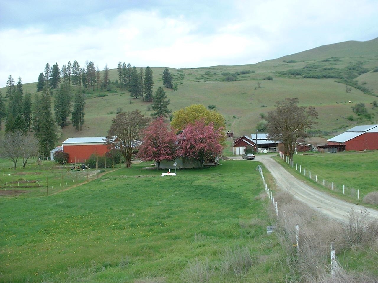 3540 Cedonia-Addy Road Hunters, WA 99137 - Photo 43 of 47