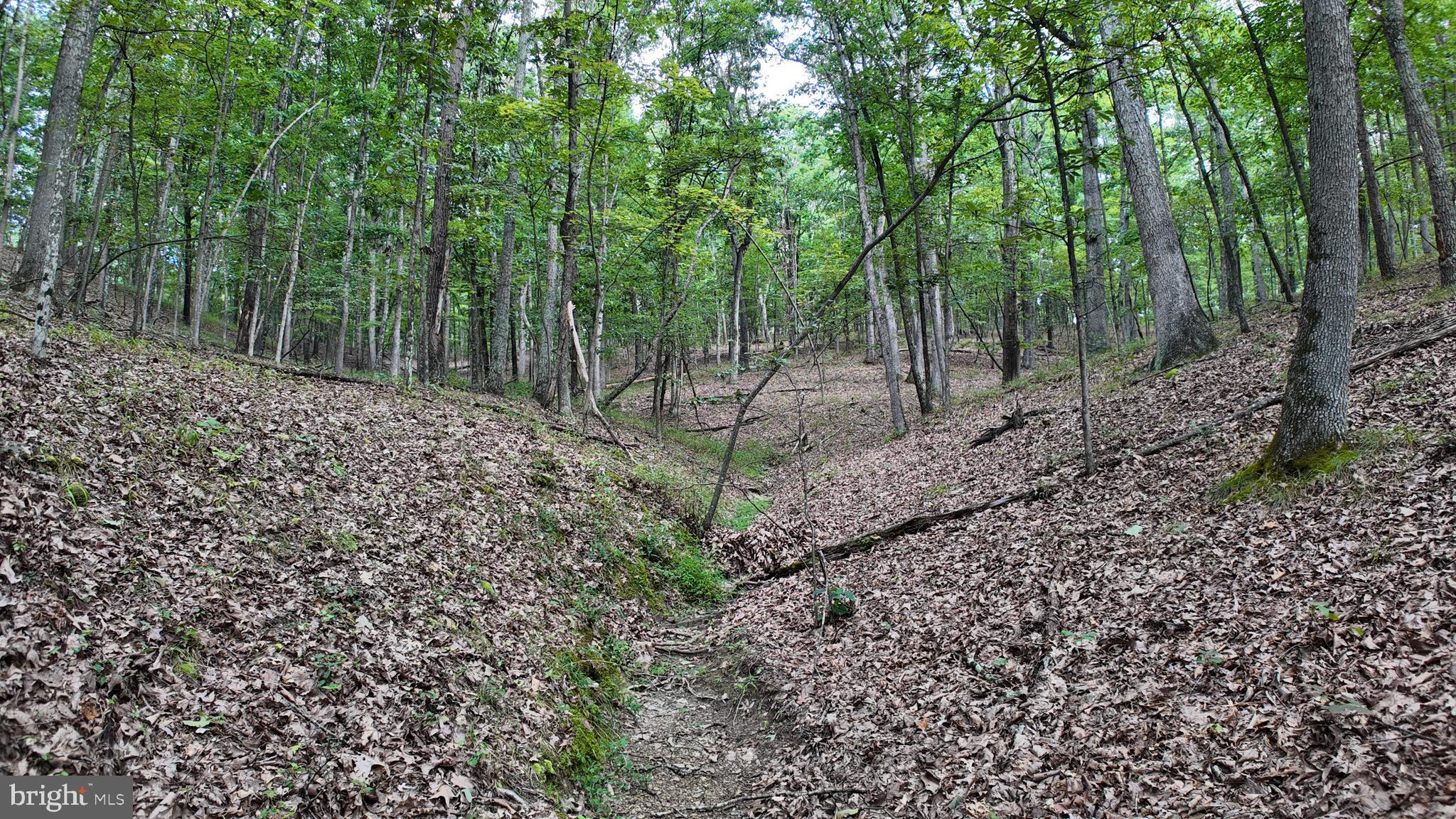 1552 Old Smith Farm Road Springfield, WV 26763 - Photo 23 of 32 Gallery Image 23