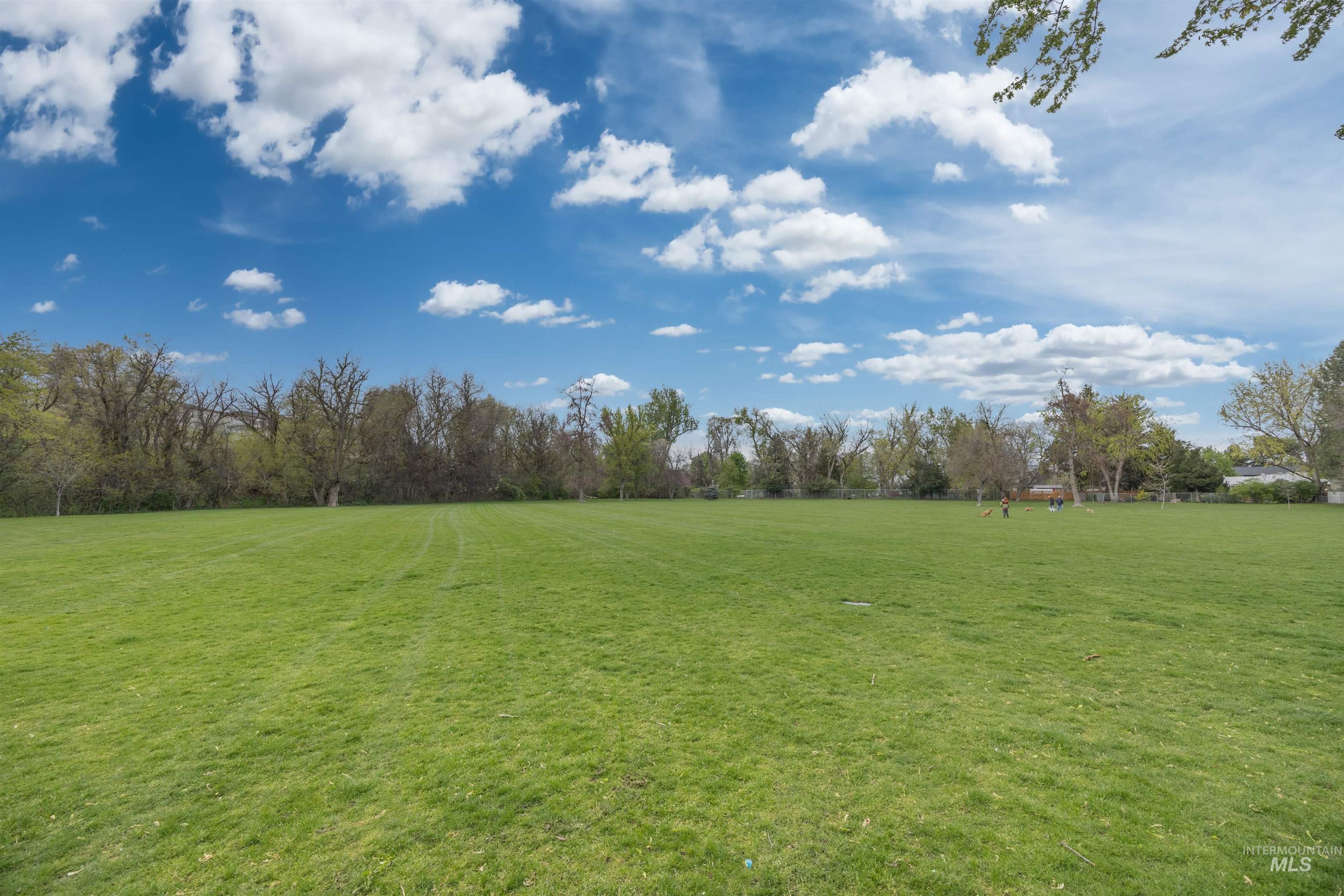 1313 Martin Street Boise, ID 83706 - Photo 17 of 46 View of green lawn