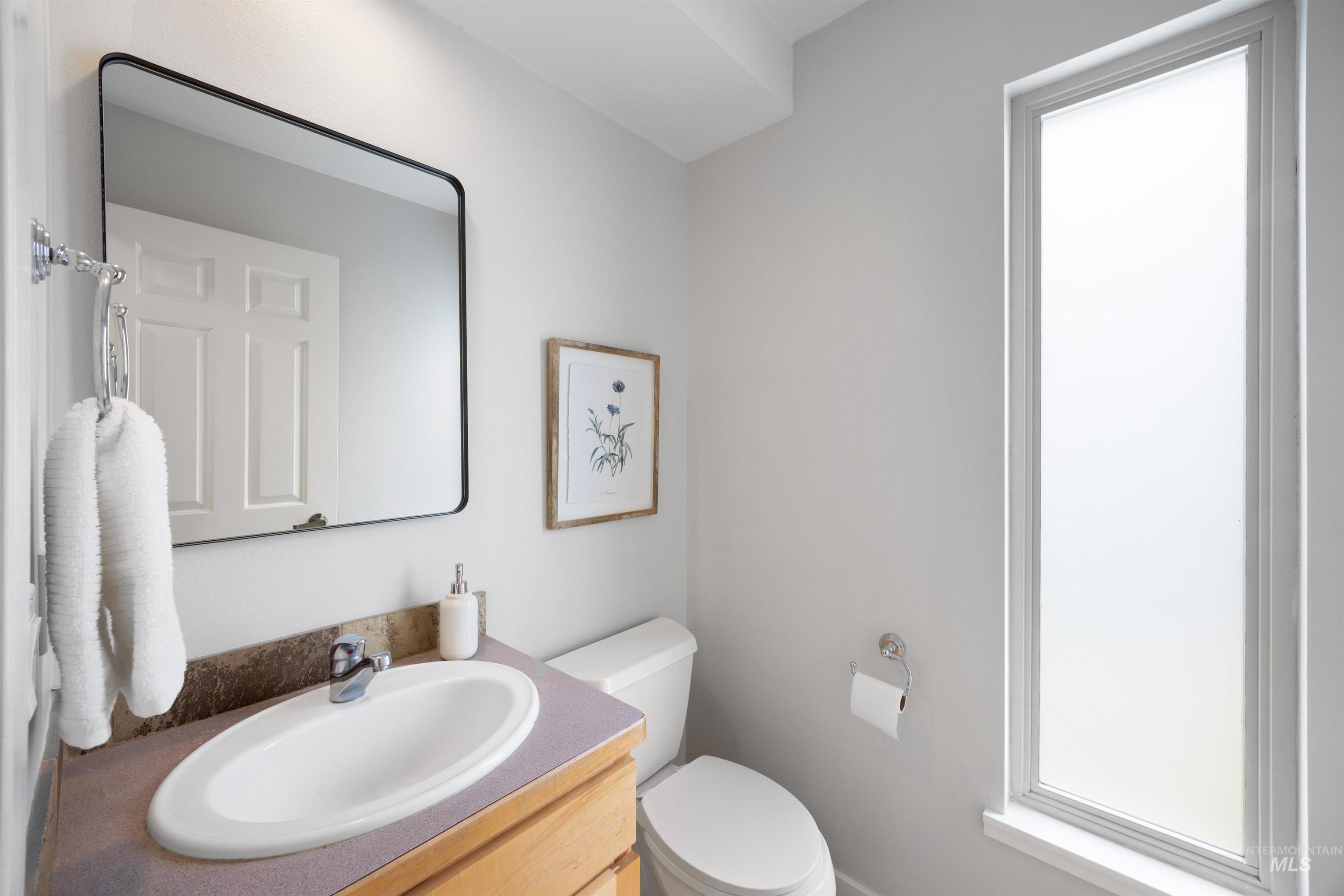 1313 Martin Street Boise, ID 83706 - Photo 30 of 46 Bathroom with vanity and plenty of natural light