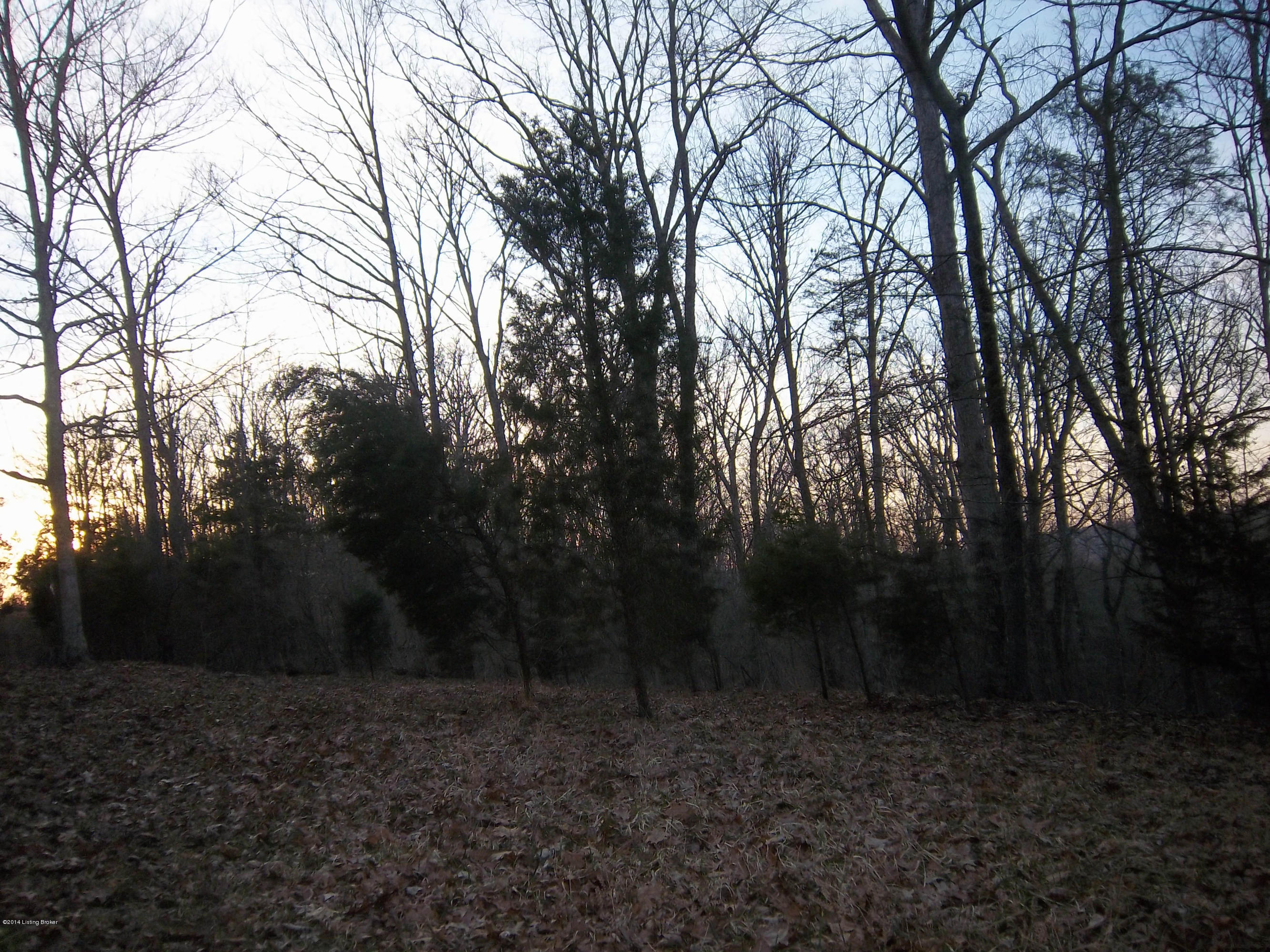 3 Green Valley Ranch Road Battletown, KY 40104 - Photo 22 of 25 green valley woods 2