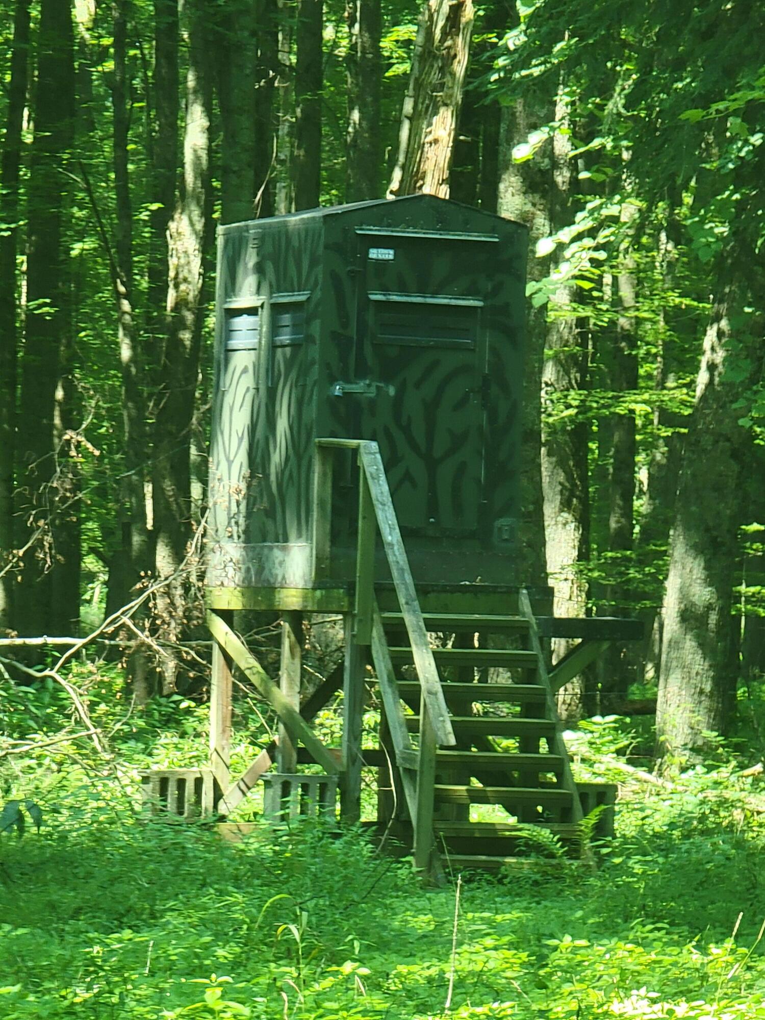 Epley Road Stanton, MI 48888 - Photo 4 of 5 20240803_121942