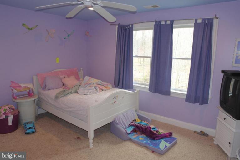 16518 Gaines Road Broad Run, VA 20137 - Photo 16 of 19 Bedroom #4
