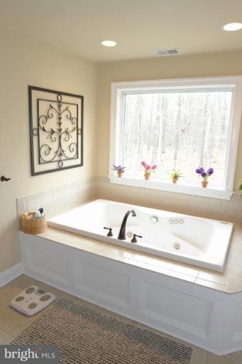 16518 Gaines Road Broad Run, VA 20137 - Photo 4 of 19 Master Bath
