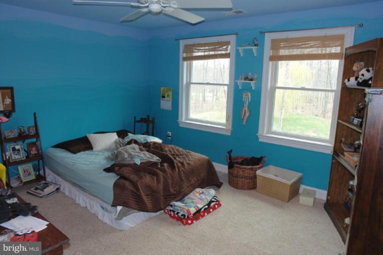 16518 Gaines Road Broad Run, VA 20137 - Photo 6 of 19 Bedroom #3