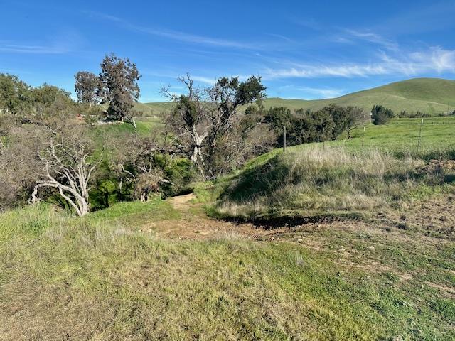 8525 Southside Road Tres Pinos, CA 95075 - Photo 31 of 35