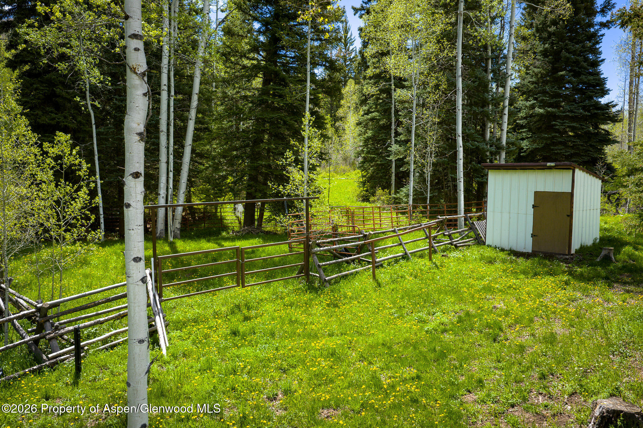12123 Co Road New Castle, CO 81647 - Photo 7 of 30 7. Colorado Mountain Corrals