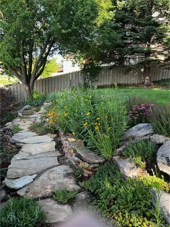 a view of a garden with plants and large trees