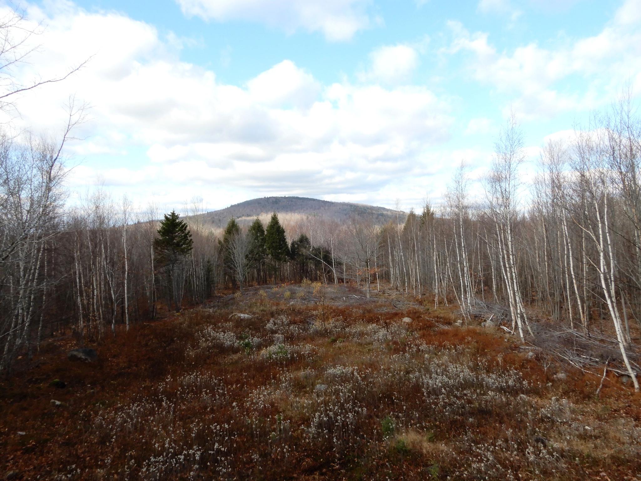 2 Pine Bluff Road Embden, ME 04958 - Photo 20 of 36 image00003