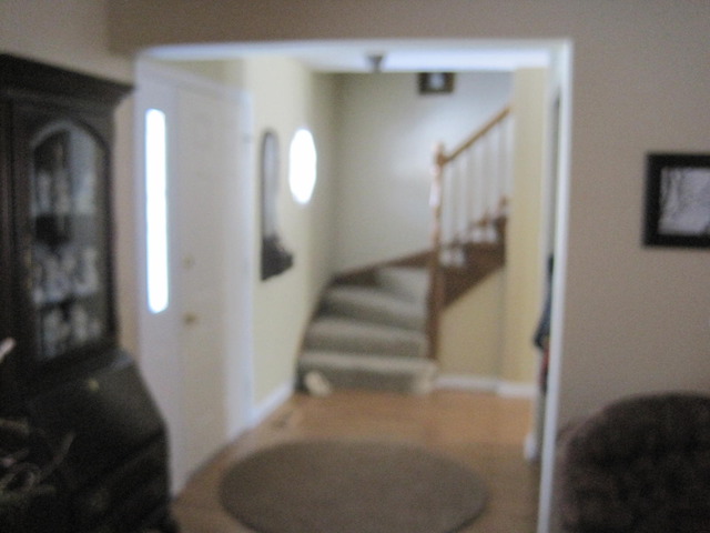 315 Old Hunt Road Fox River Grove, IL 60021 - Photo 10 of 23