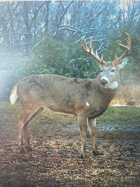 Pleasant Valley-lot2 Road Paola, KS 66071 - Photo 11 of 29