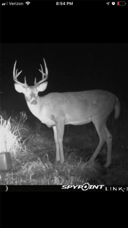 Pleasant Valley-lot2 Road Paola, KS 66071 - Photo 12 of 29