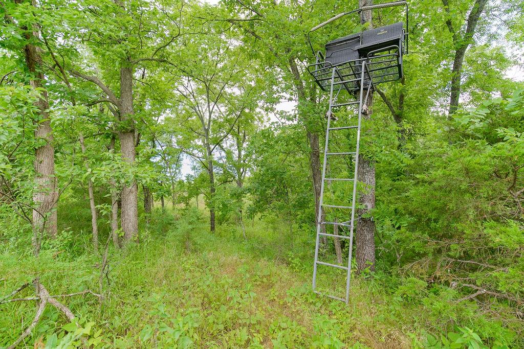 Pleasant Valley-lot2 Road Paola, KS 66071 - Photo 25 of 29