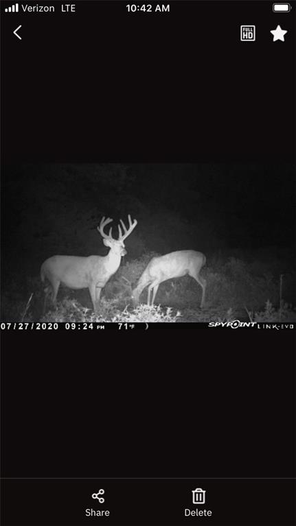 Pleasant Valley-lot2 Road Paola, KS 66071 - Photo 10 of 29