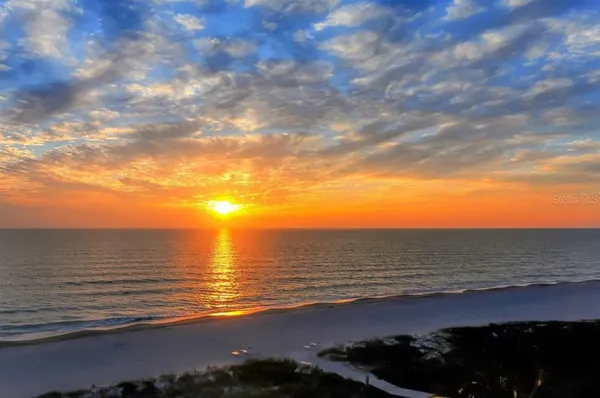an outdoor space with garden