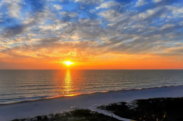 an outdoor space with garden
