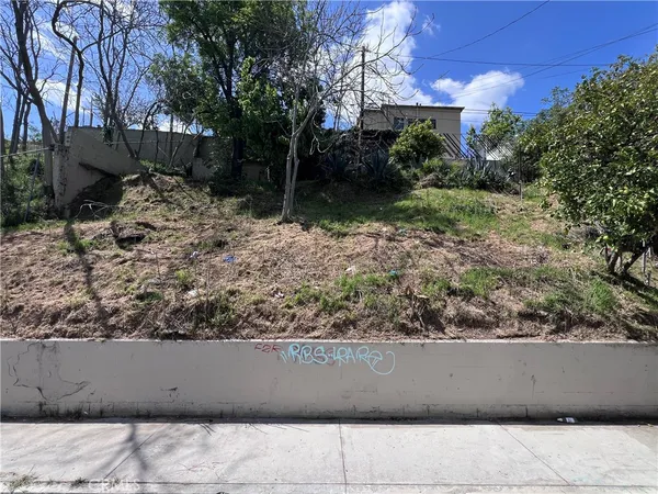 a view of a bench in a backyard