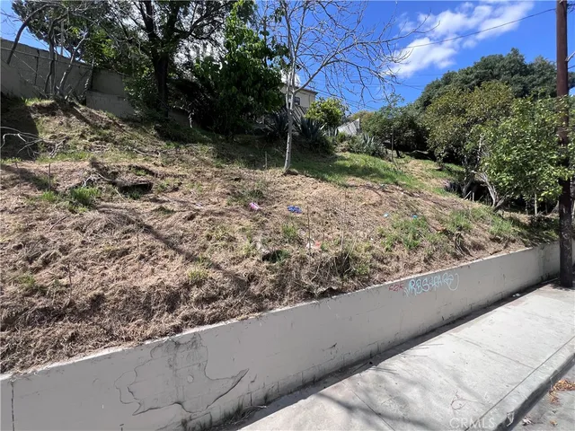 a view of a backyard with plants