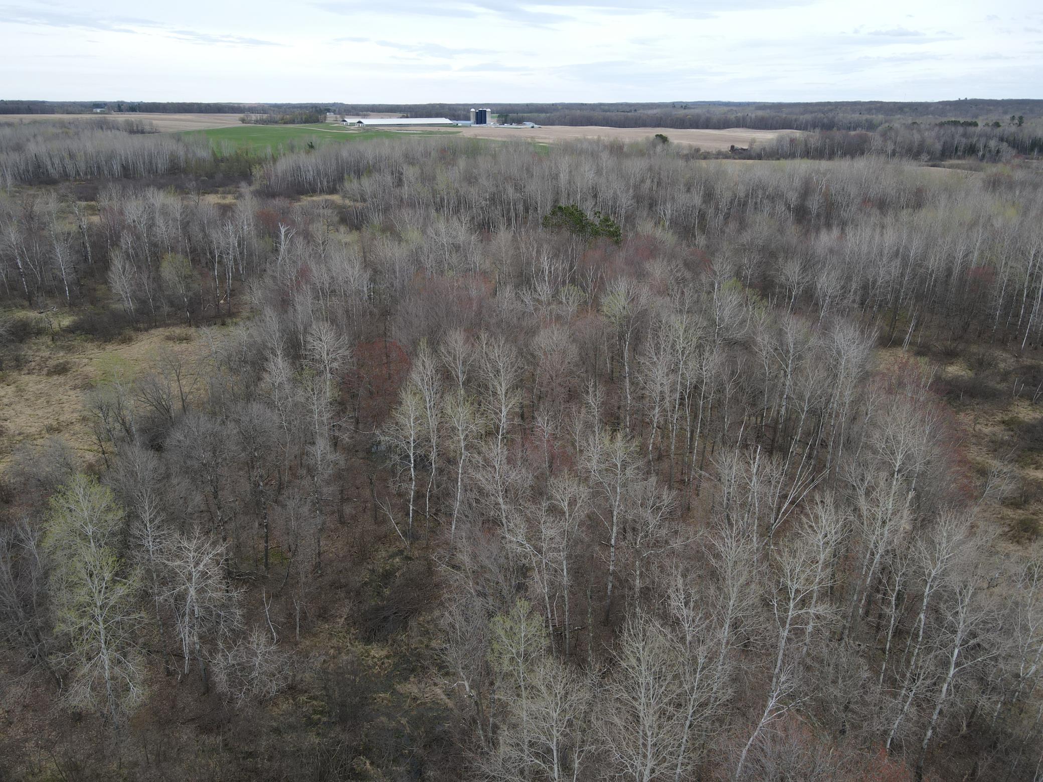 Tbd Silo Road Sarona, WI 54870 - Photo 10 of 22
