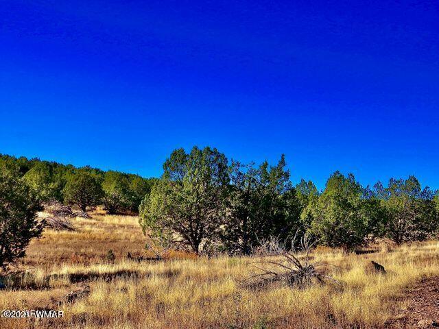 2417 Lawrence Road Williams, AZ 86046 - Photo 3 of 8
