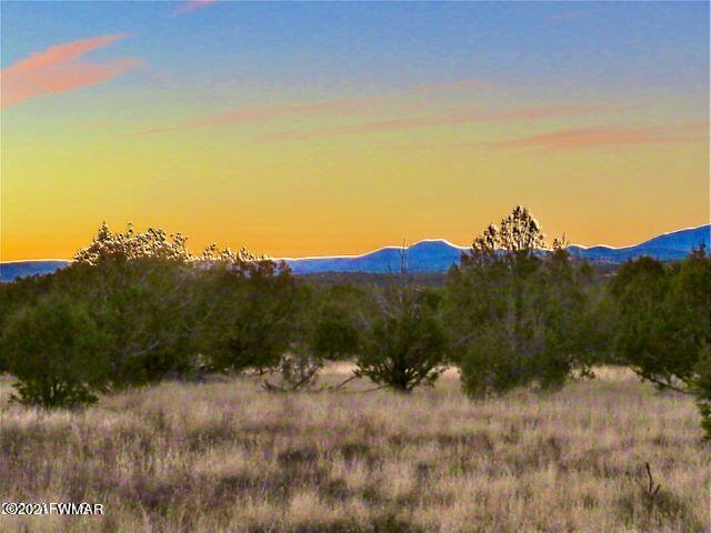2417 Lawrence Road Williams, AZ 86046 - Photo 4 of 8