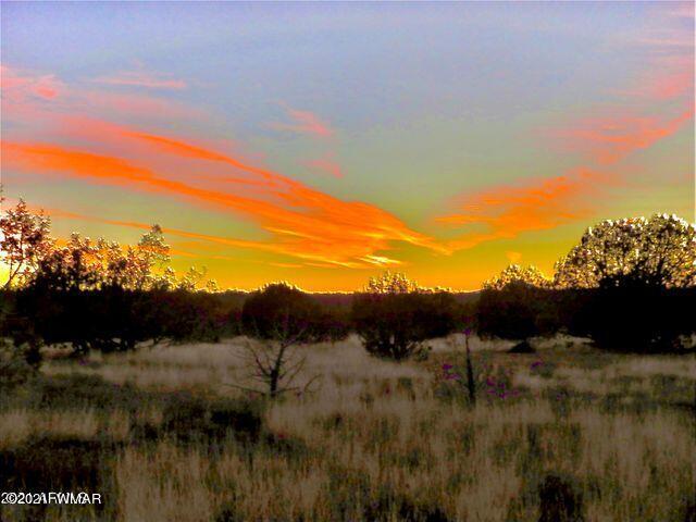 2417 Lawrence Road Williams, AZ 86046 - Photo 5 of 8