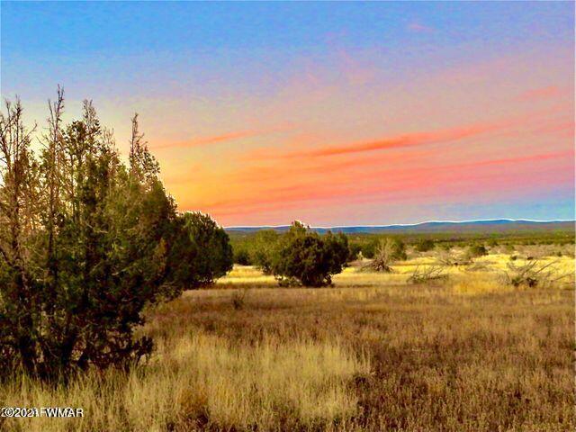 2417 Lawrence Road Williams, AZ 86046 - Photo 6 of 8
