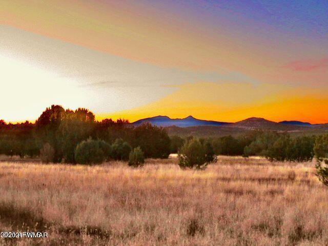 2417 Lawrence Road Williams, AZ 86046 - Photo 8 of 8