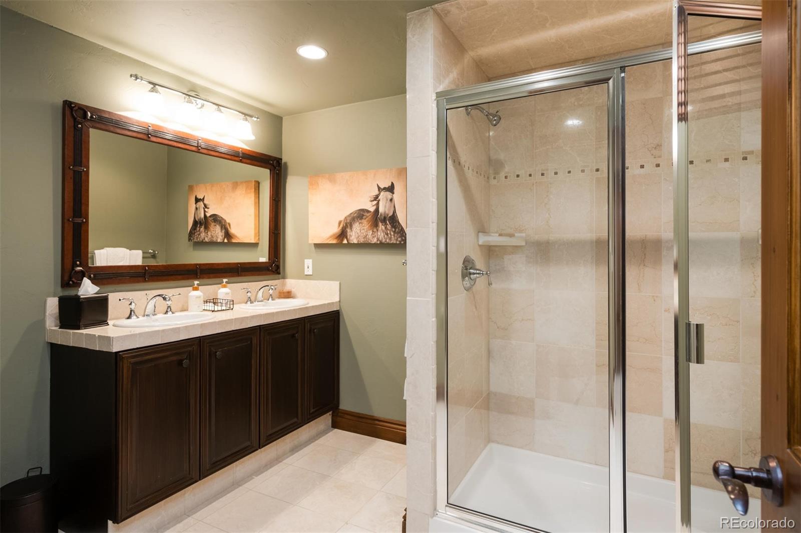 497 Meadow Vista Drive Evergreen, CO 80439 - Photo 32 of 40 a view living room with a bathroom and a shower