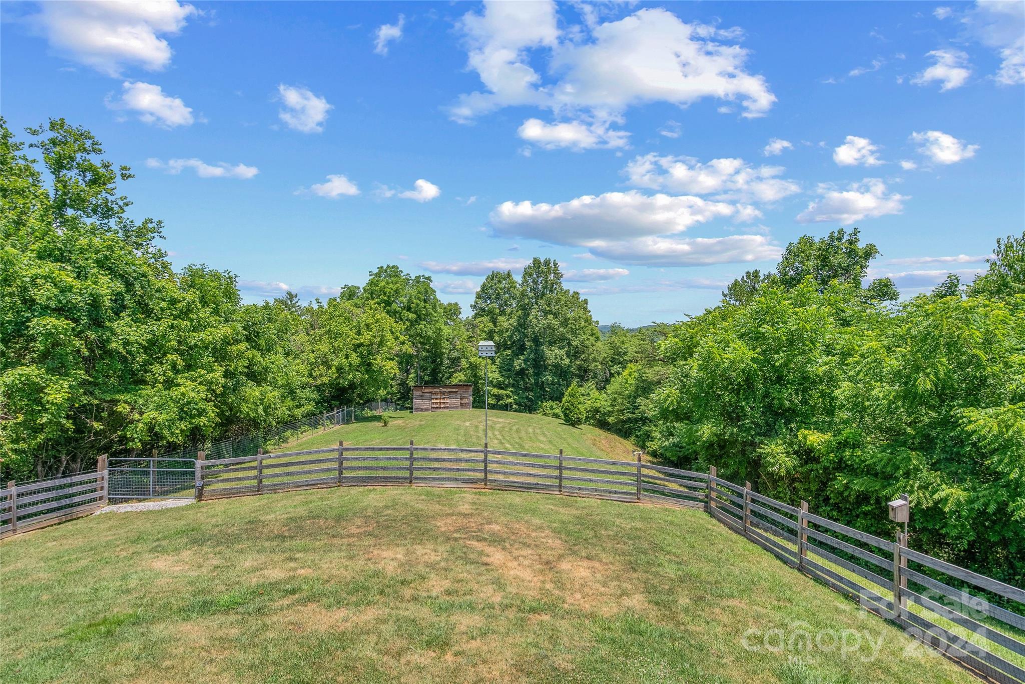 329 Cabin Hollow Drive Marshall, NC 28753 - Photo 35 of 40 a backyard of a house with lots of green space
