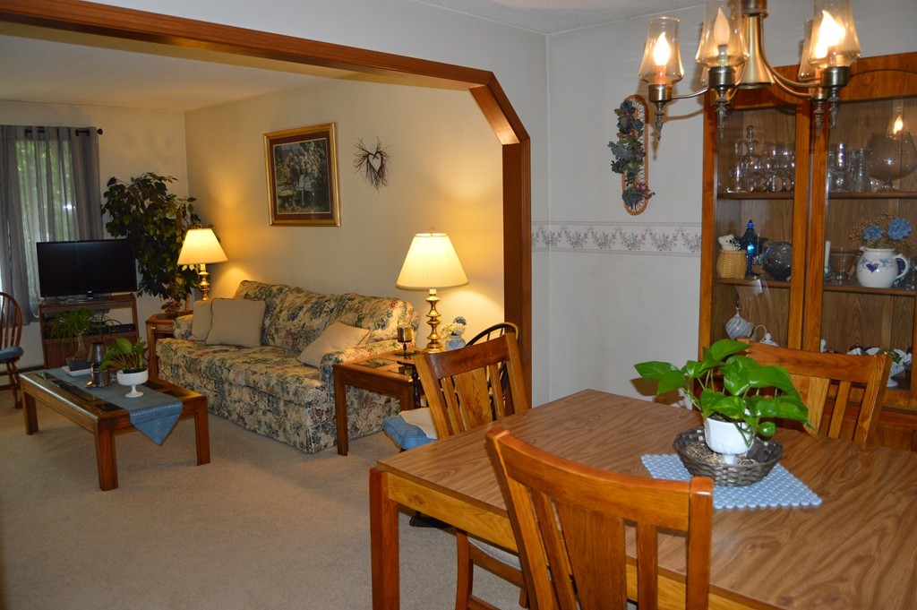 382 East County Road Rutland, MA 01543 - Photo 8 of 19 a living room with furniture and a potted plant