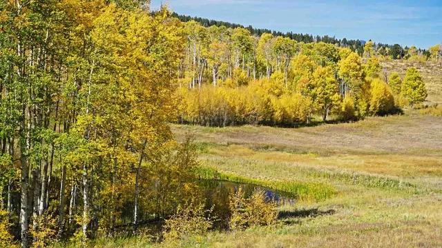 $9,995,000 | 6495 Long Ridge, Toponas, CO 80479