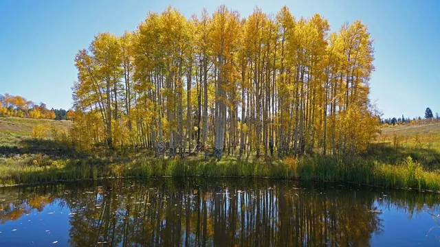 $9,995,000 | 6495 Long Ridge, Toponas, CO 80479