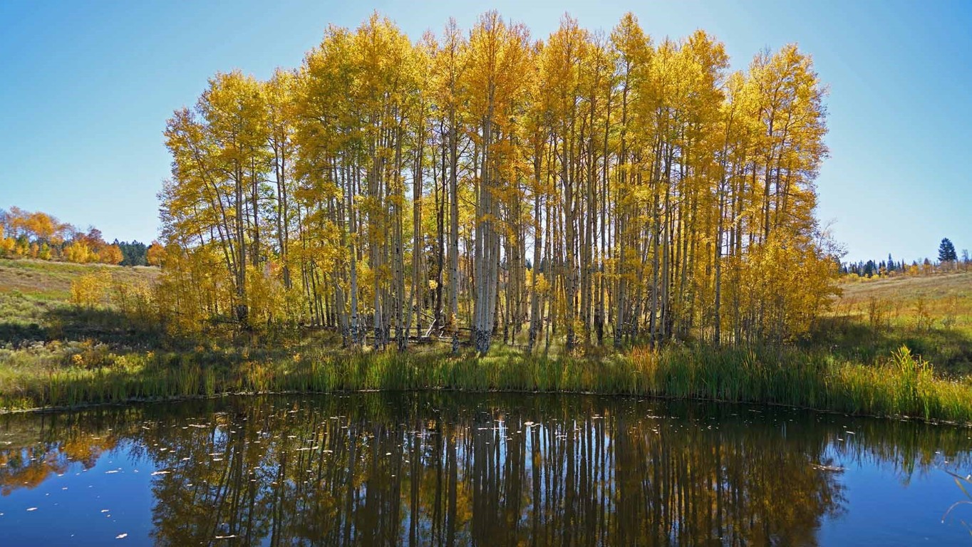 6495 Long Ridge Toponas, CO 80479 - Photo 13 of 50