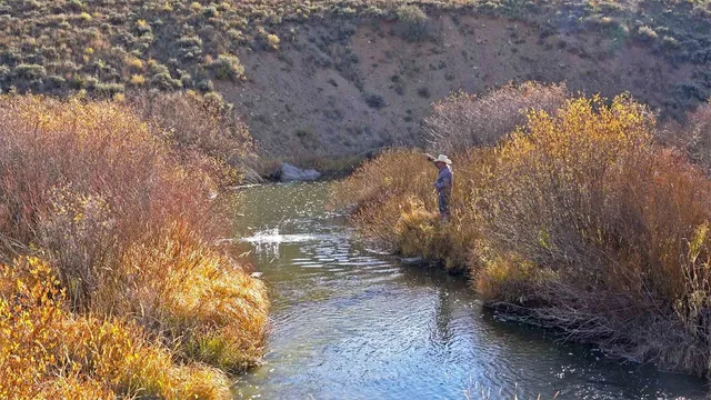 $9,995,000 | 6495 Long Ridge, Toponas, CO 80479