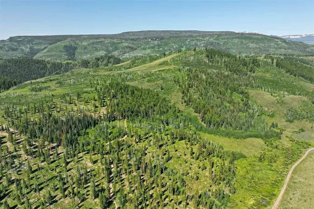 $9,995,000 | 6495 Long Ridge, Toponas, CO 80479