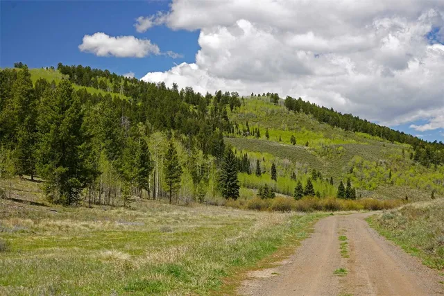 $9,995,000 | 6495 Long Ridge, Toponas, CO 80479