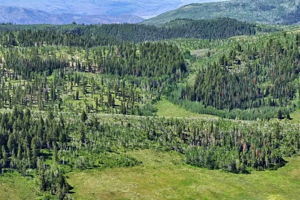 $9,995,000 | 6495 Long Ridge, Toponas, CO 80479