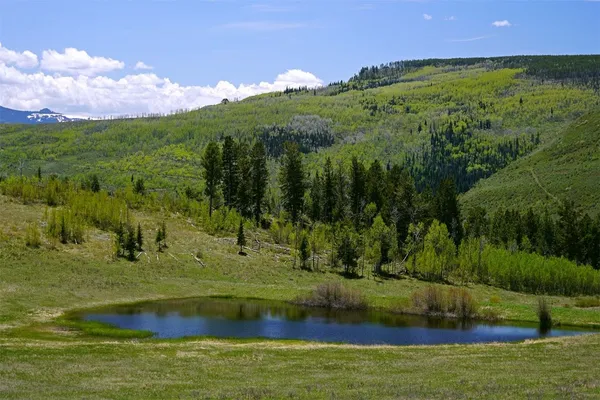 $9,995,000 | 6495 Long Ridge, Toponas, CO 80479