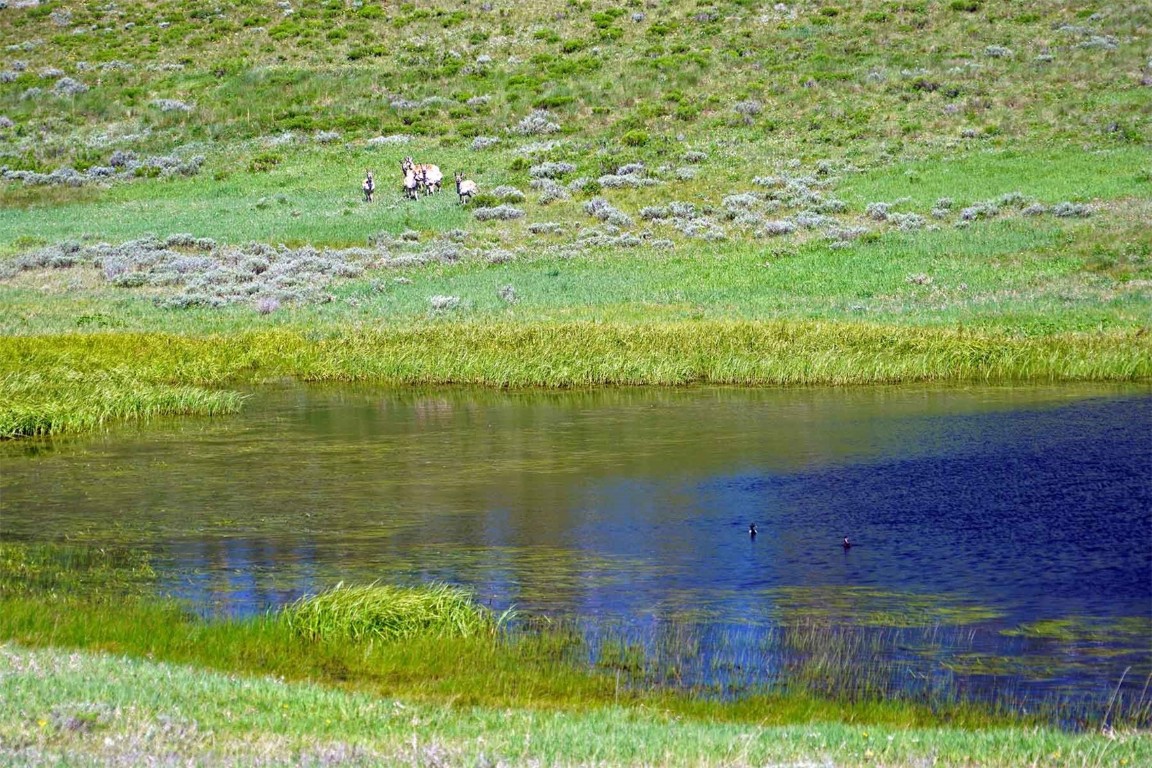 6495 Long Ridge Toponas, CO 80479 - Photo 38 of 50
