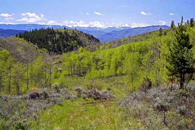 $9,995,000 | 6495 Long Ridge, Toponas, CO 80479