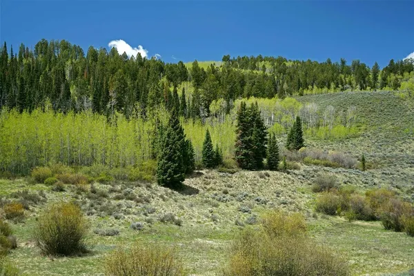 $9,995,000 | 6495 Long Ridge, Toponas, CO 80479