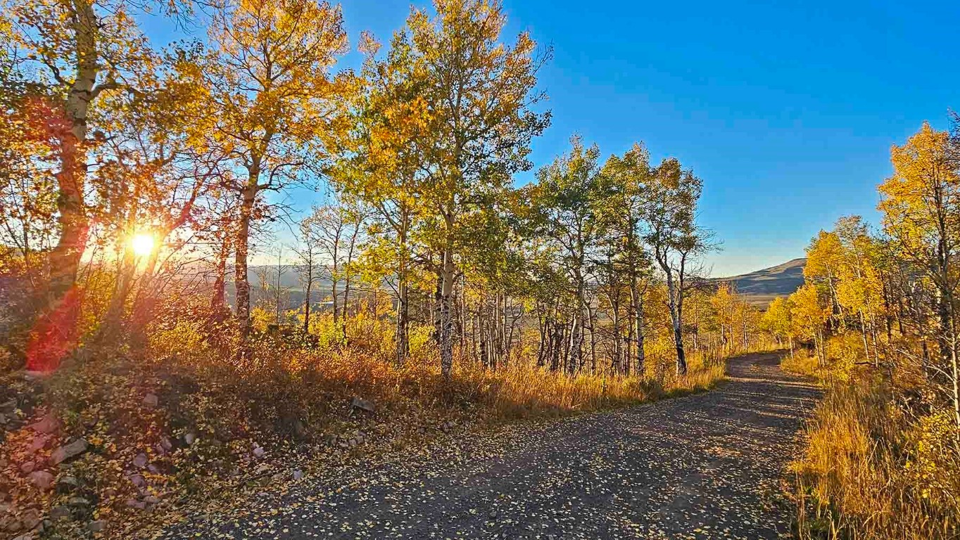 6495 Long Ridge Toponas, CO 80479 - Photo 6 of 50
