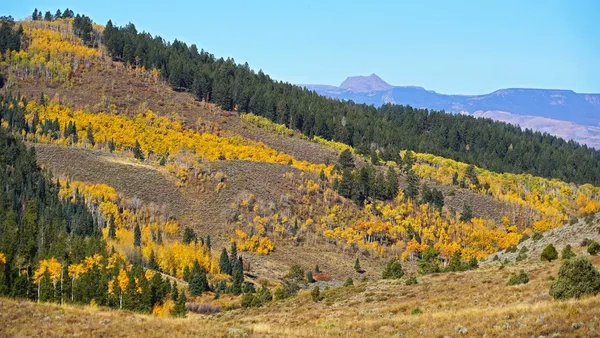 $9,995,000 | 6495 Long Ridge, Toponas, CO 80479