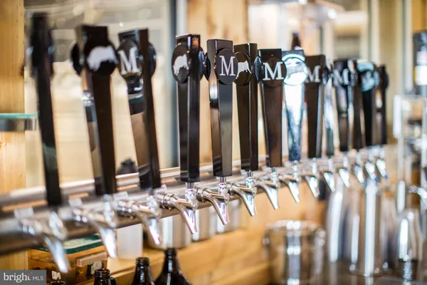 $52,600,000 | 510 Mt Pleasant Farm Road, Scottsville, VA 24590