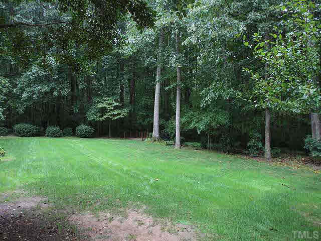 4020 Ridgebrook Bluffs Drive Raleigh, NC 27603 - Photo 13 of 14 Lots of space for friend, family & children to enjoy & play. Backyard