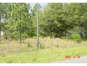 Lot 2 Cedar Road Ocala, FL 34472 - Photo 1 of 1 Primary Photo